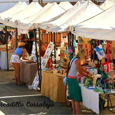 Golden Dunes Comfy And Cozy Коральео